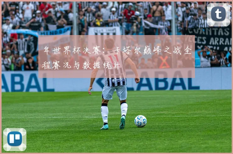 年世界杯决赛:卡塔尔巅峰之战全程赛况与数据统计
